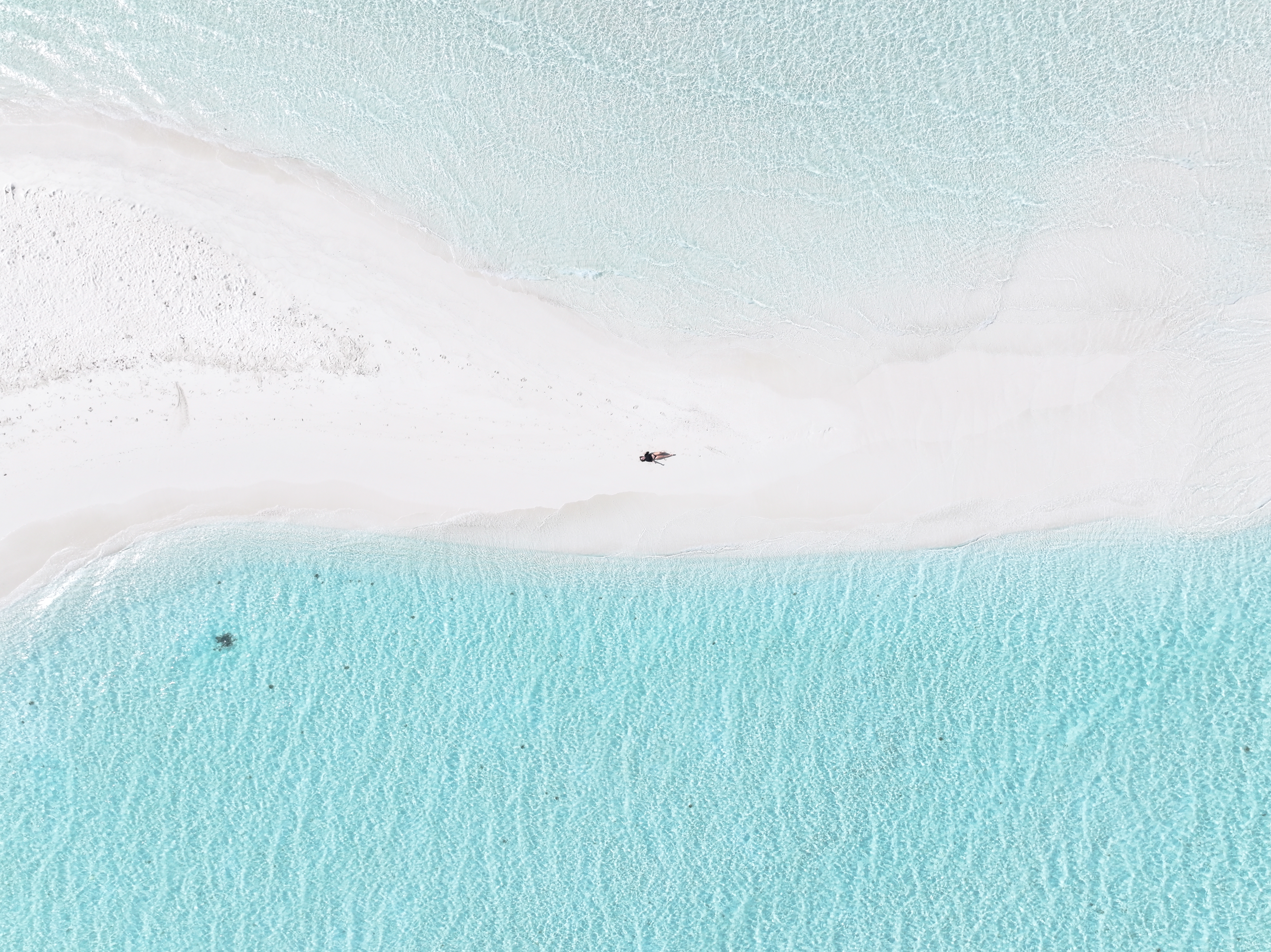 Capodanno alle Maldive: avventura tra squali, tartarughe, delfini e spiagge paradisiache