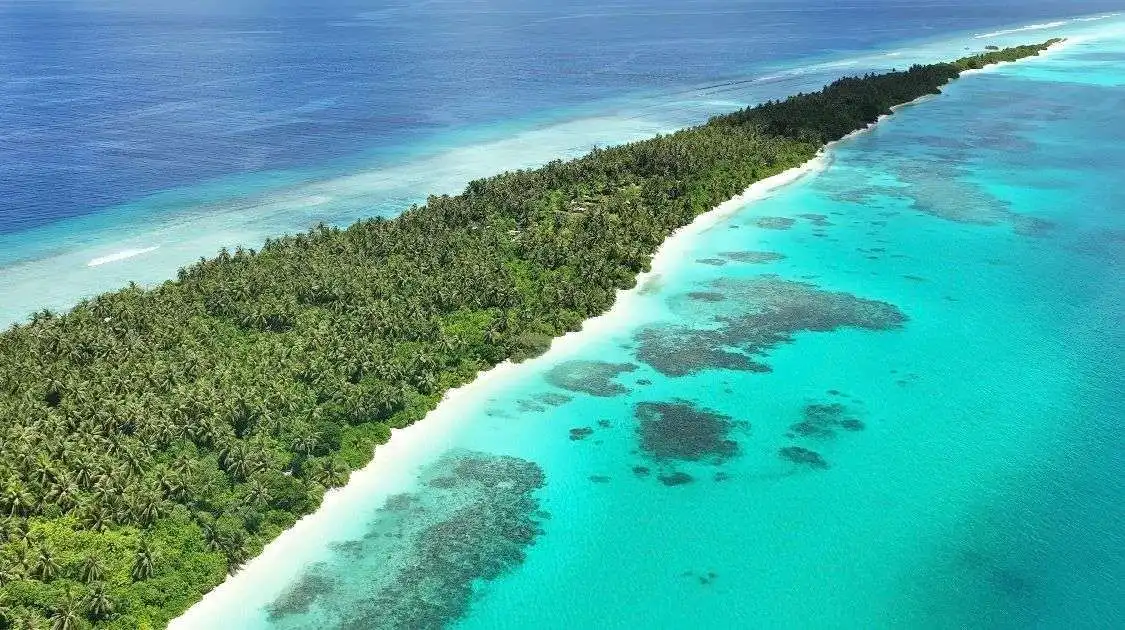 Maldive Beach Life: cinque isole paradisiache tra squali, razze e delfini