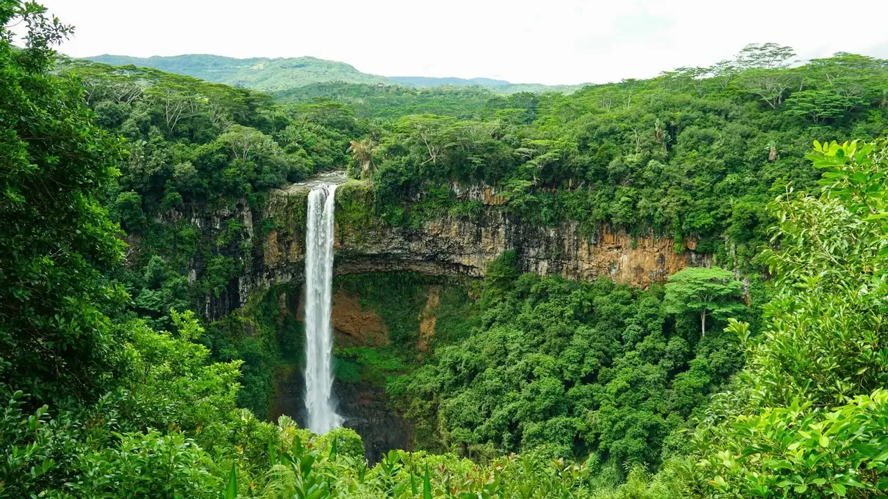 Mauritius Safari: natura selvaggia tra balene, tartarughe e spiagge paradisiache – Flic en Flac