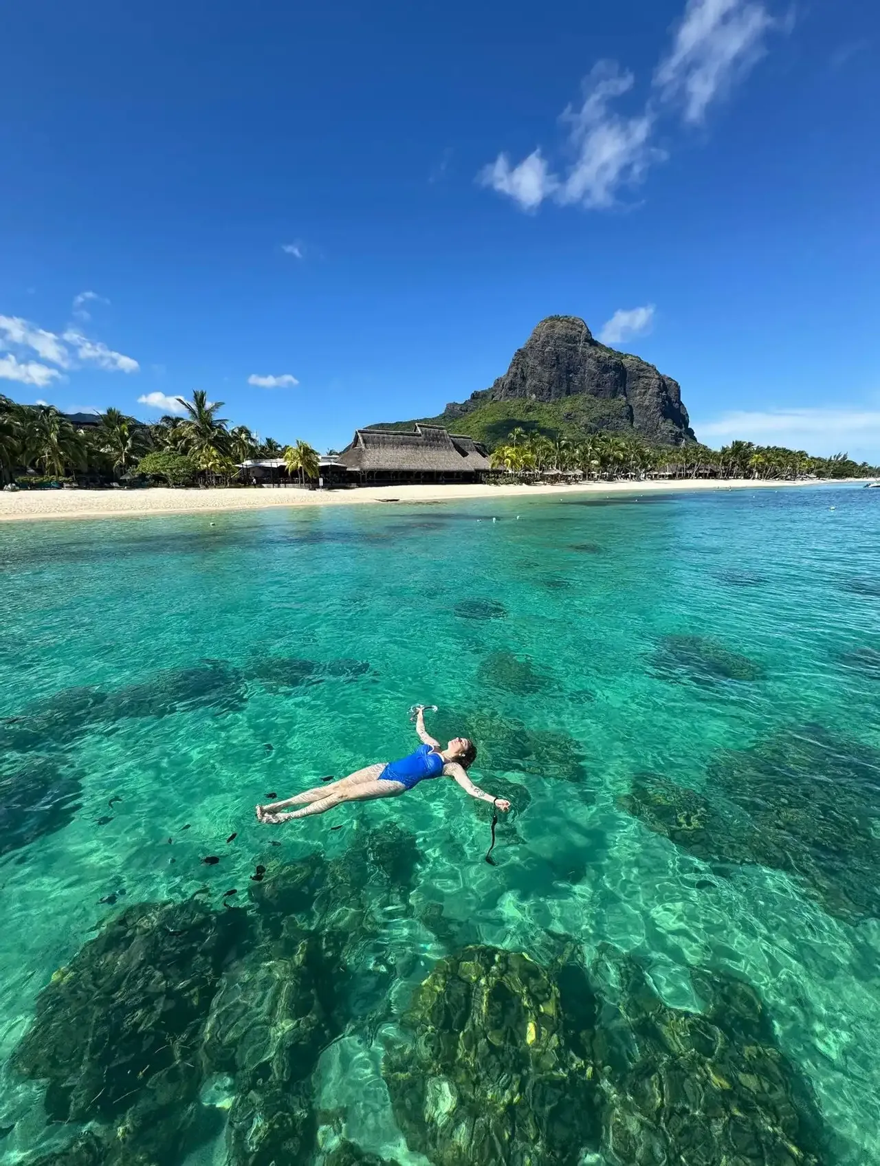 Mauritius Safari: natura selvaggia tra balene, tartarughe e spiagge paradisiache – Flic en Flac