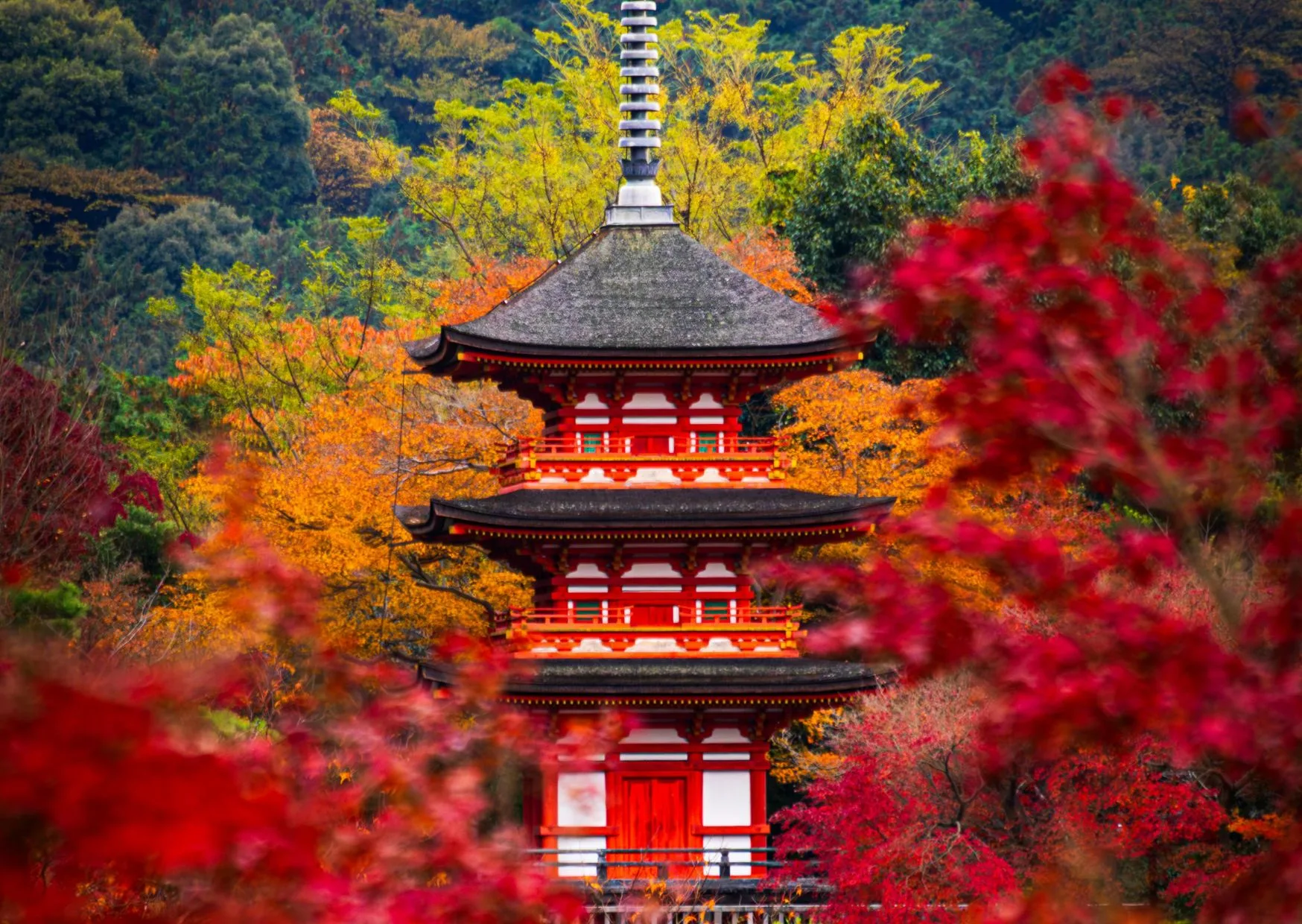 Giappone: Magico Foliage – Miyajima