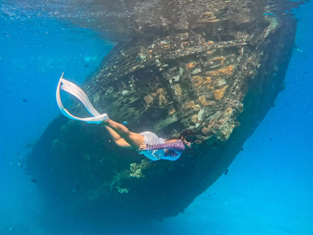 Maldive per anime blu